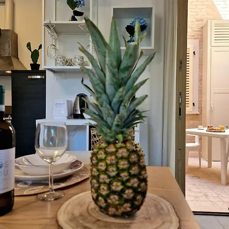 Center 150 Mt From The Sea Ac Fast Wifi And Design * Porto SantʼElpidio